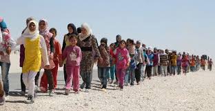 पाकिस्तानबाट एकैदिनमा ६ हजार बढी अफगान शरणार्थी स्वदेश फिर्त