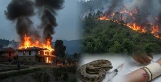 चैतमा विपद्का ९ सय घटना, ३० जनाको मृत्यु